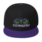 502BB Purple and Green Snapback Hat