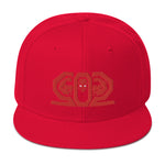 IFBB PRO 3D Puff Snapback Hat